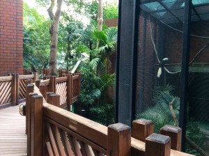 Birds enclosed in exhibit one at the aviary.