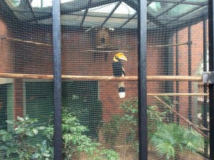 Birdwatching at the Aviary in Hong Kong Park.