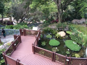 Tai Chi Garden pond.