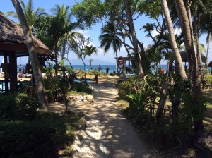 Beautiful walkways to the beach.