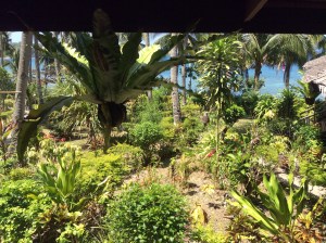 View from the deluxe room.